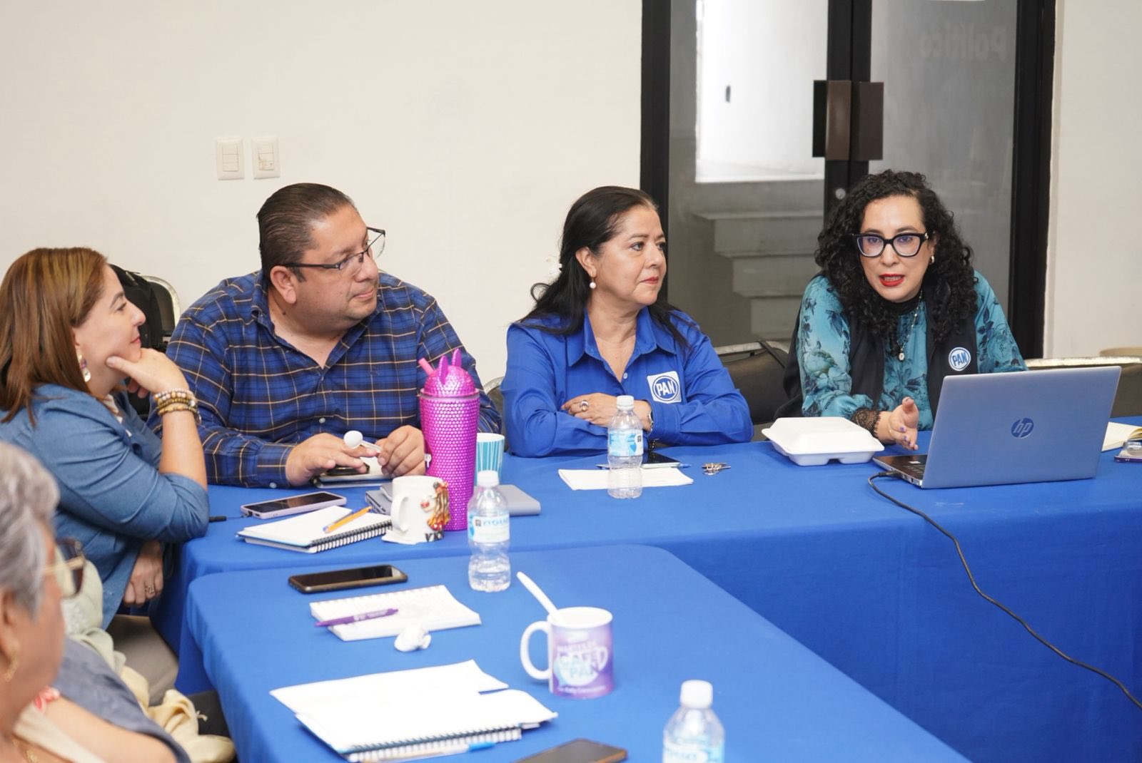 El CDE del PAN Chiapas sostuvo reunion con Paulina Peñaflor, Coordinadora Regional de la Secretaría de Elecciones del CEN