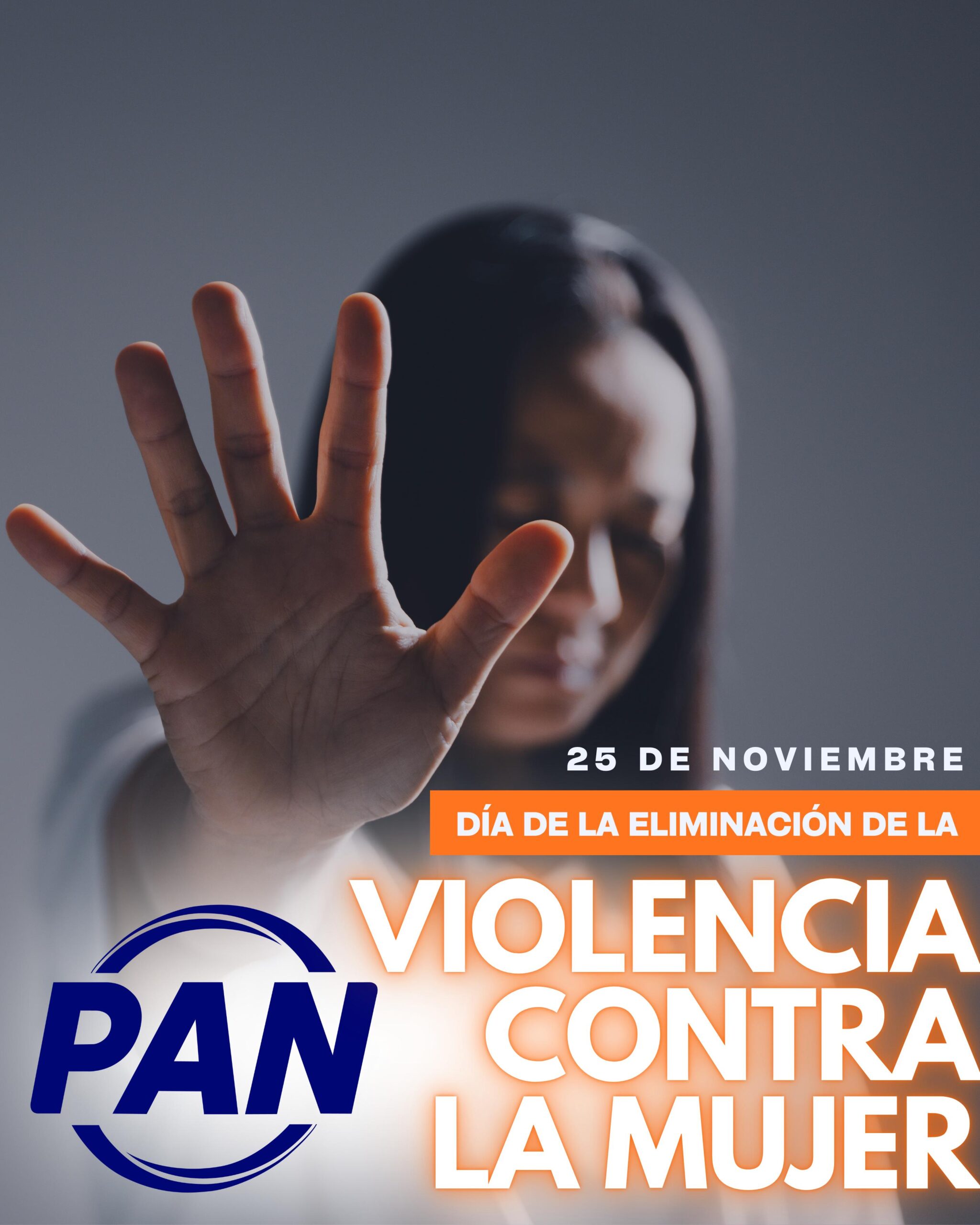 Día Internacional de la Eliminación de la Violencia contra la Mujer