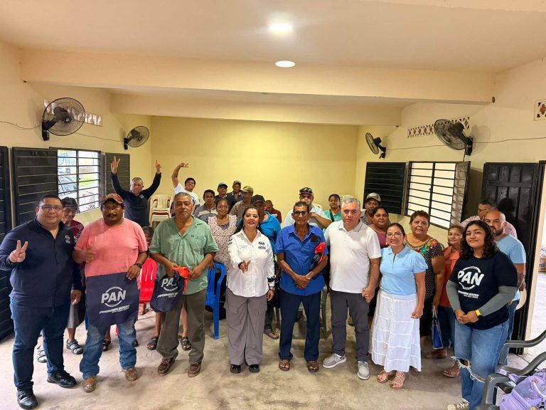 En Pijijiapan, el Comité Directivo Municipal continúa su trabajo territorial.